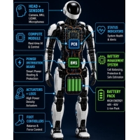 Galios ir apsaugos dizainas robotų elektronikoje